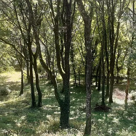 Cottage Chaleureux Vue Sur Le Lac Du Bourget Conjux